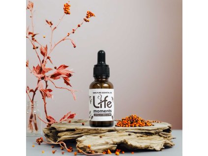 santalove drevo a pepr 1