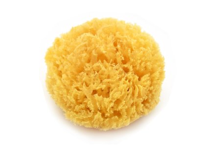 vyr 1170164 MAGNUM Myci morska houba z Karibiku cca 10 12 cm badeschwam