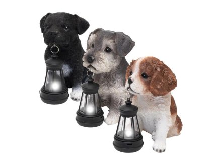 solarne zahradne svietidlo psiky s lampasom 6 ks displej