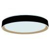 led stropna lampa opal do ovladanie hlasom 48w lc902mbv