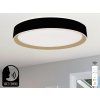 led stropna lampa opal do ovladanie hlasom 48w lc902mbv