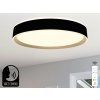 led stropna lampa opal do ovladanie hlasom 48w lc902mbv