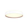 led stropna lampa opal do ovladanie hlasom 48w lc902mv