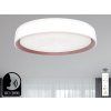 led stropna lampa opal do ovladanie hlasom 48w lc902mv