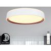 led stropna lampa opal do ovladanie hlasom 48w lc902mv