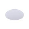 led stropna lampa opal do ovladanie hlasom 48w lc902sv