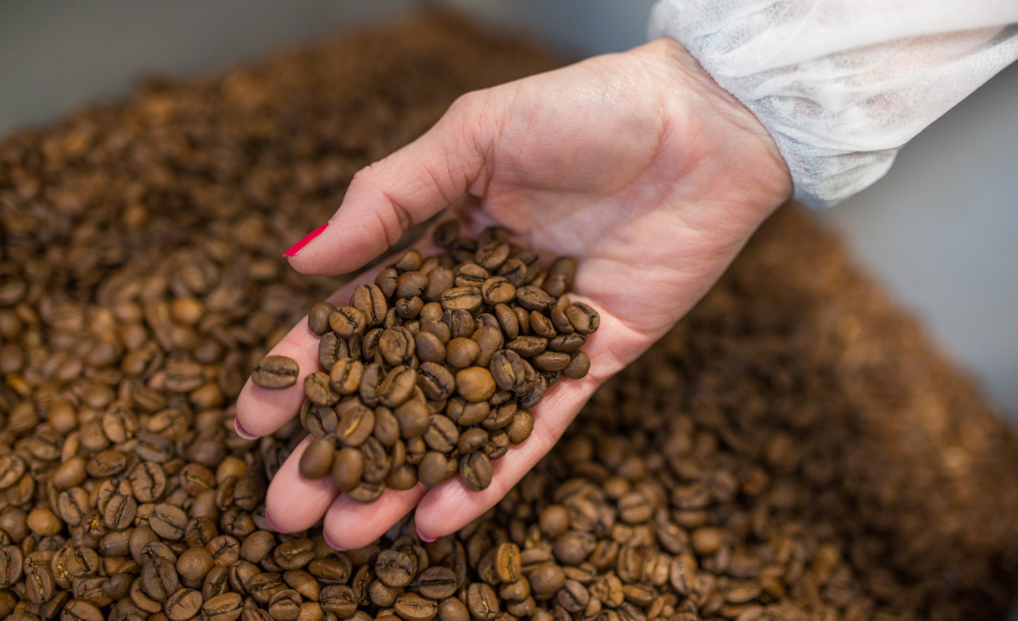 Šesť vecí, ktoré by ste mali vedieť skôr, než si kúpite kávu