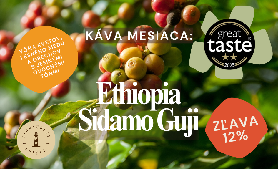 Lighthouse Coffee káva mesiaca Ethiopia Sidamo Guji