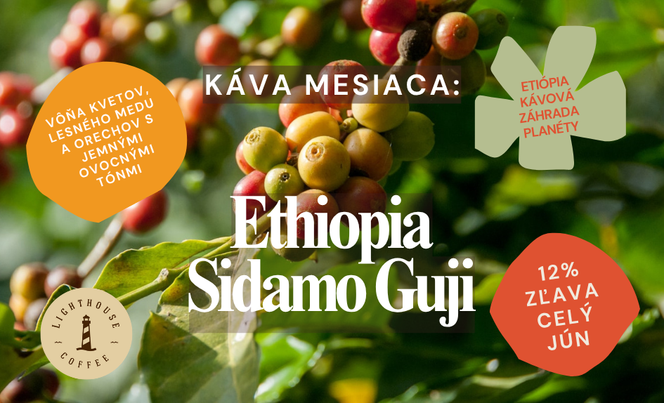 Lighthouse Coffee káva mesiaca Ethiopia Sidamo Guji