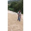 barahona2