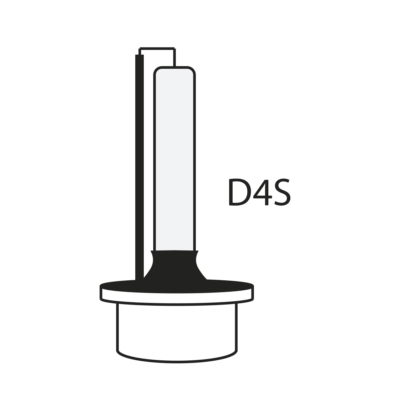 D4S