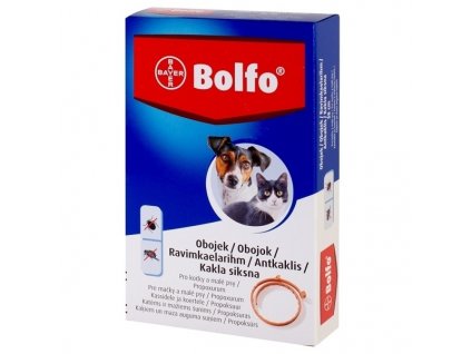 bolfo obojek malypes