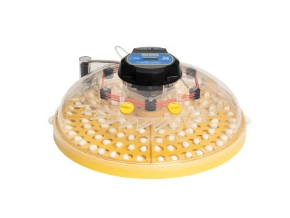 Maxi 48 Zoologica main shot