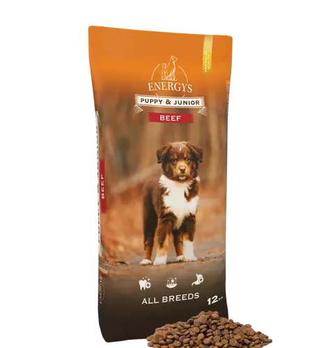 Energys Premium Dog Puppy & Junior Beef All breeds Beef 12 kg