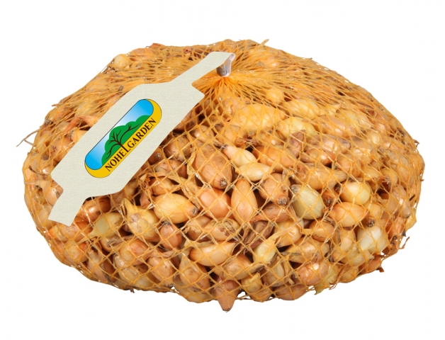 Nohel Garden Přísada zeleninová Cibule sazečka Všetana 250 g