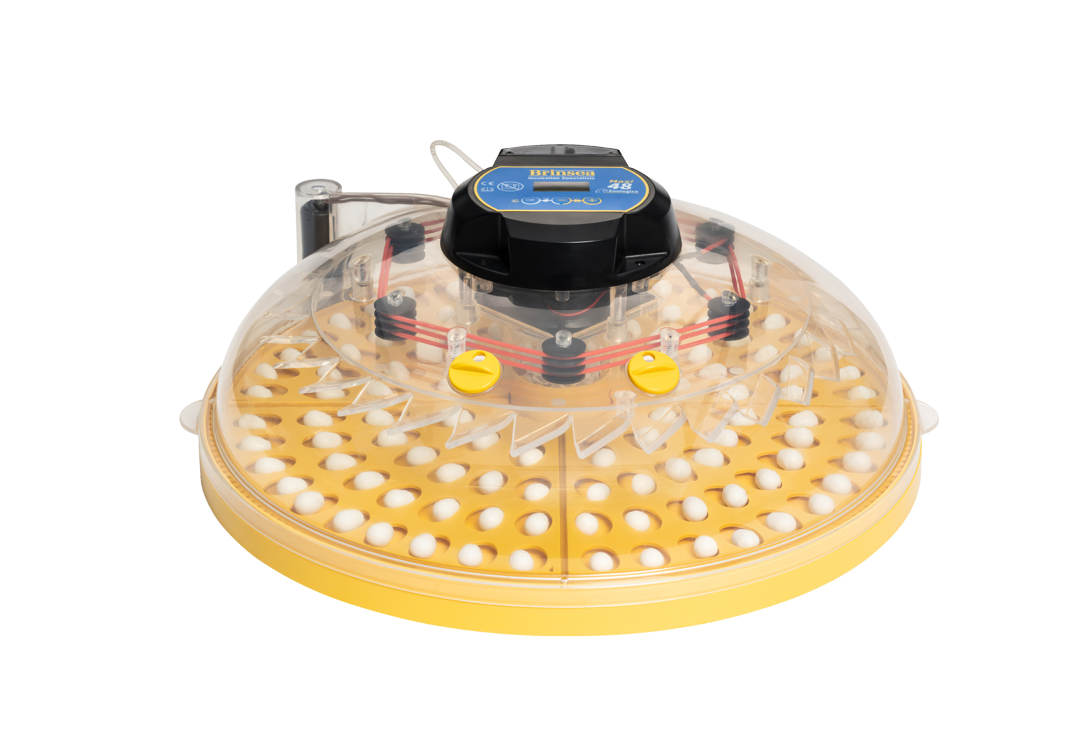 Líheň Brinsea MAXI 48 Zoologica