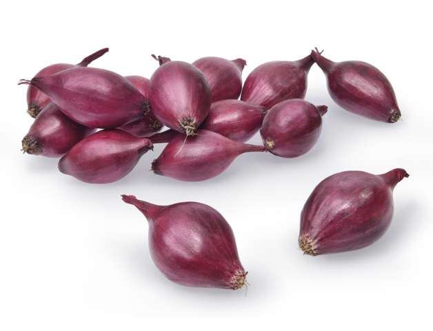 Lihne.cz Cibule sazečka AKADO 250 g