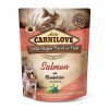 Dog Pouch Paté Salmon & Blueberries Puppies 300g