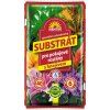 Substrát FORESTINA SUBSTRAT pro pokojové rostliny