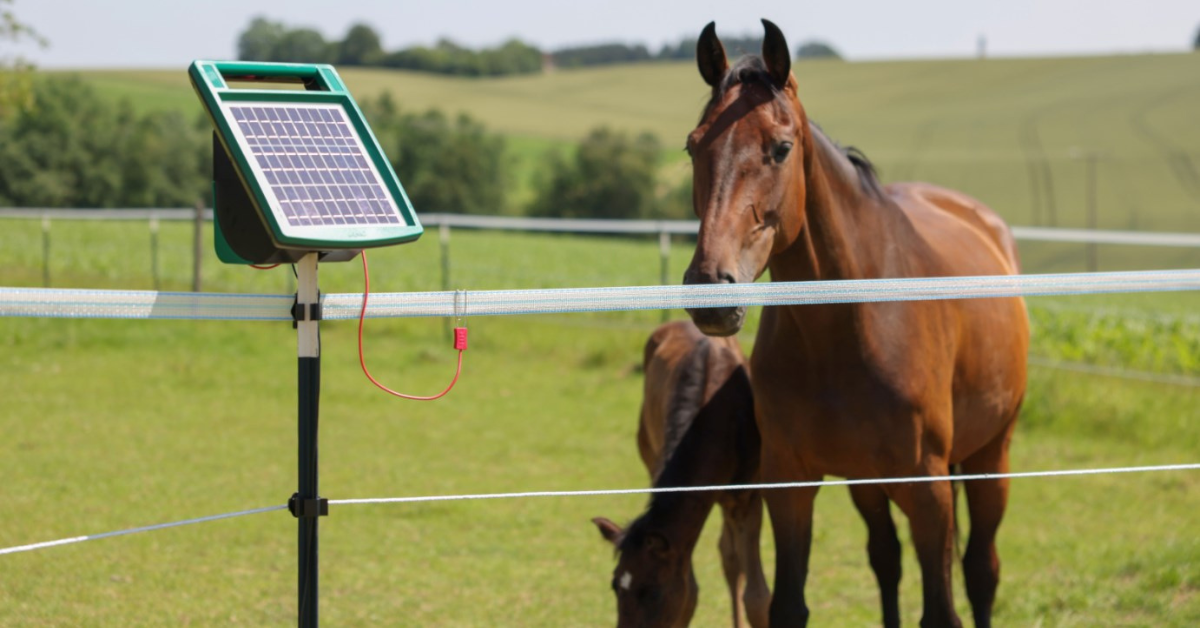 Ohradníkový zdroj: Jak vybrat ten správný zdroj pro elektrický ohradník