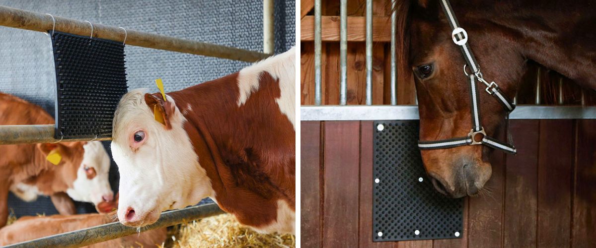 gumove-nastenne-drbadlo-kerbl-30x40-cm-text-2