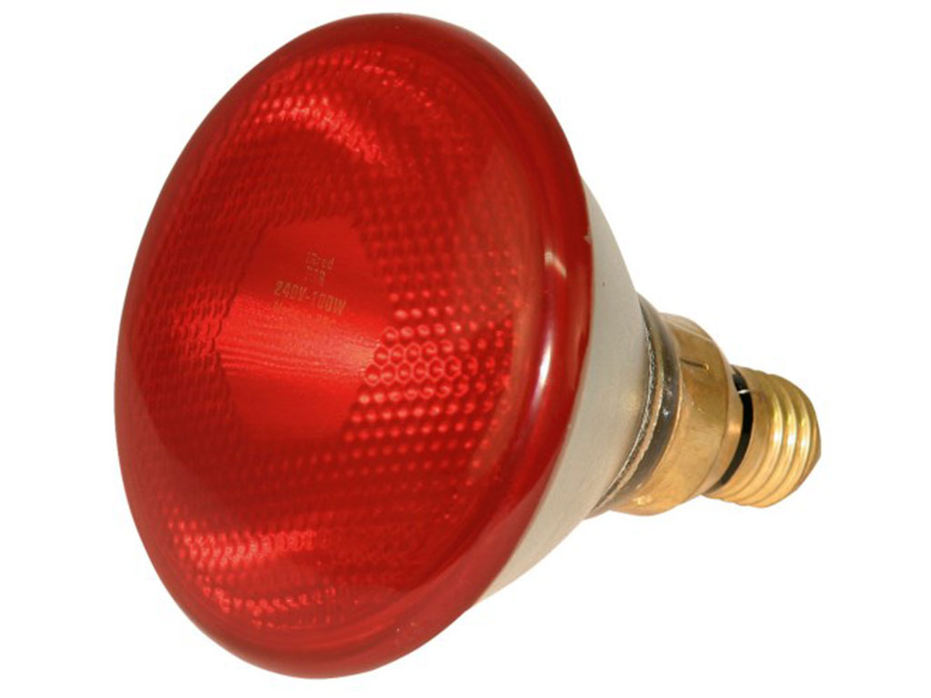 KERBL Žárovka úsporná vyhřívací infra červená, 100 W