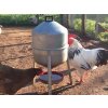 barelova napajecka pro drubez cf005 00 giove 30l zinkovana 2