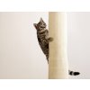 Škrabadlo pro kočky KERBL BAG CLIMBER - sisalové, závěsné 260x16x16 cm