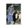zastera na dojeni a myti kerbl 15153 profi apron 125 125 cm modra 5