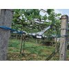 pakovy lanovy navijak kerbl 37117 hand power puller 3m 1250kg 9