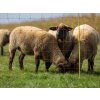 sit pro elektricky ohradnik pro ovce kerbl 27903 108cm x 50m 2 hroty oranzova 5