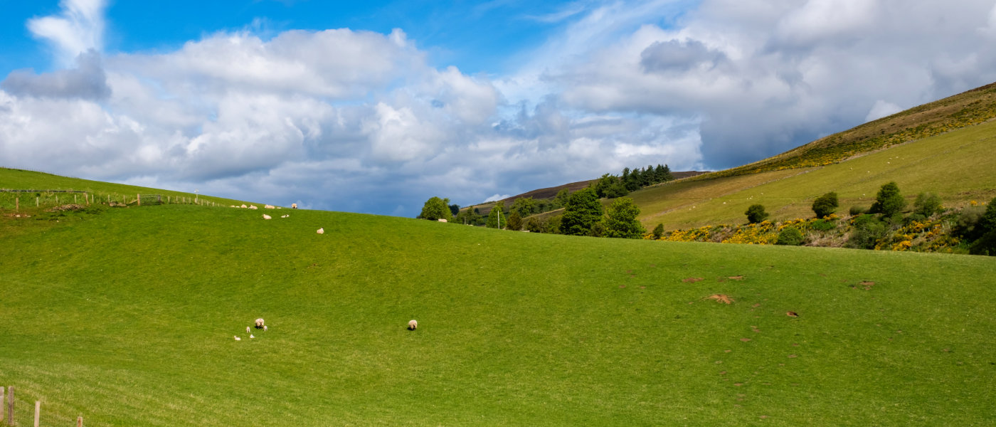 Scotland1