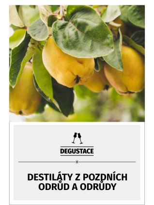 pozdni