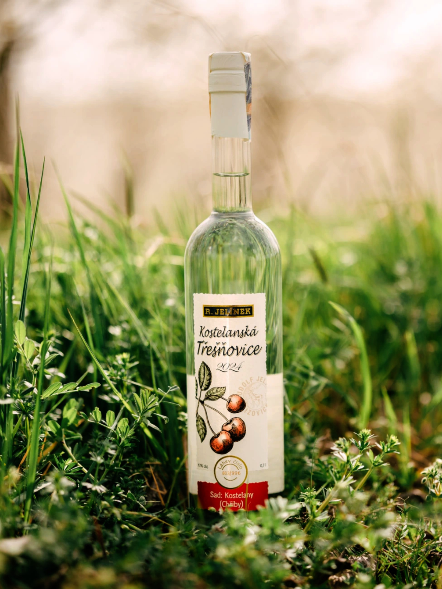 Martini Vermouth Extra Dry 1l 15%