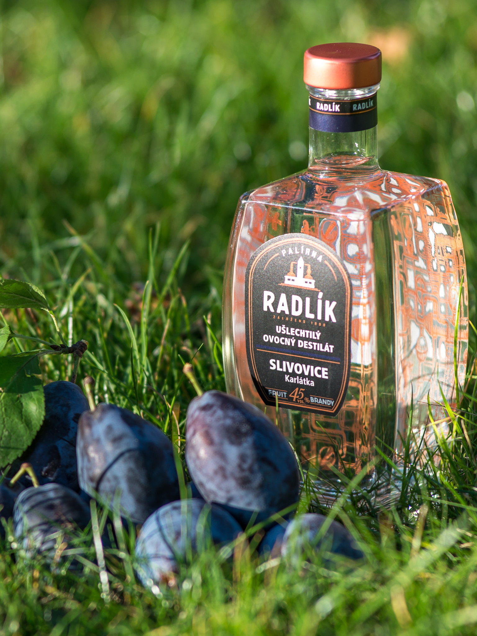 Palírna Radlík Radlík Slivovice (Karlátka) 45% 0,5l
