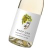 pinot gris