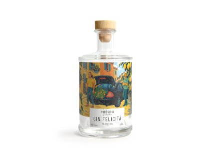 web gin felicita