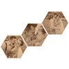 Fotka na dřevo hexagon 20 cm