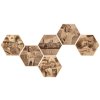 Fotka na dřevo hexagon 50 cm