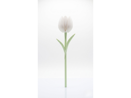 8333 bily tulipan