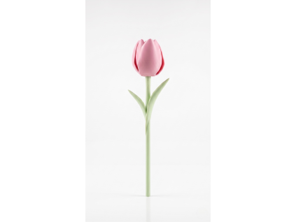 8336 ruzovy tulipan