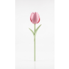 8336 ruzovy tulipan