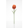 8345 oranzovy tulipan