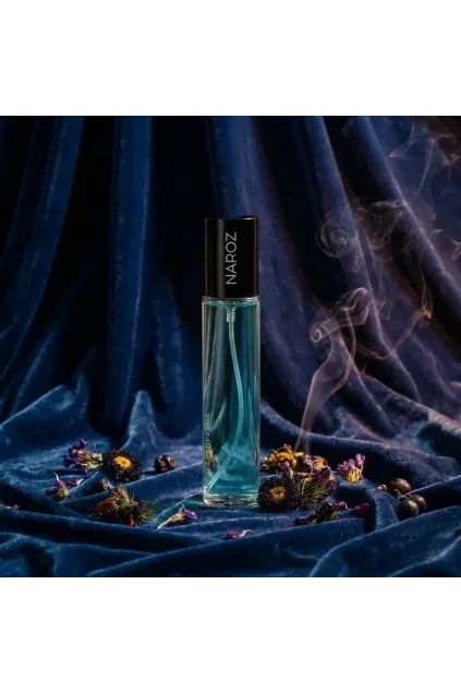 n260 neness naroz 33 ml pro muze