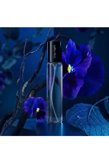 n026 neness grey night 33 ml pro muze
