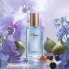 310 neness danes 2 50ml