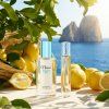 Neness Sapphire Sea 50ml + 33ml