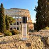 n289 neness zafir 50 ml