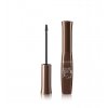 Bourjois Brow Fiber Oh Oui!