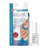 Eveline Cosmetics Nail Polish for Nail Fungus Feet & Hands Mykose